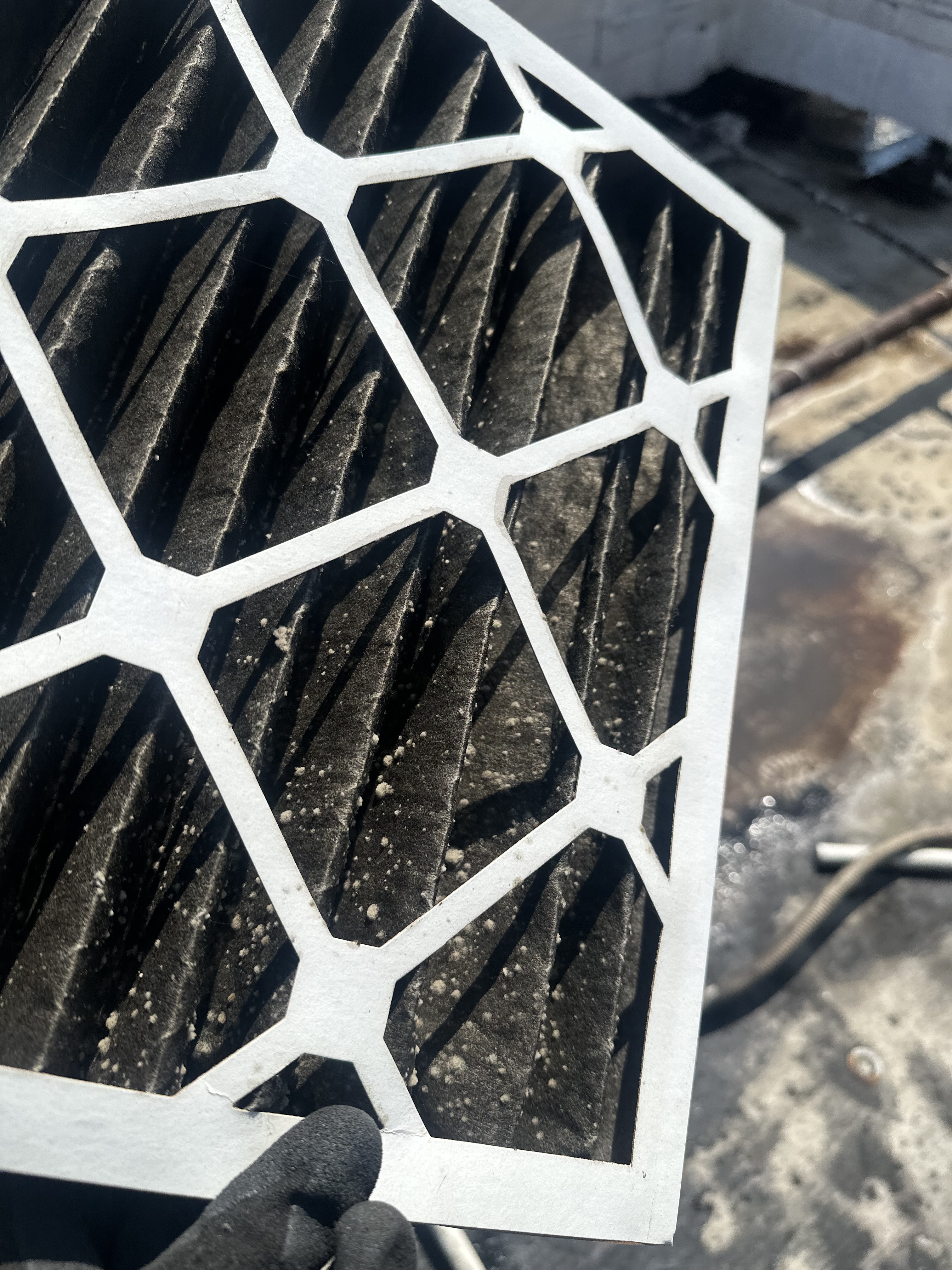 Gallery – MitE Solutions LLC